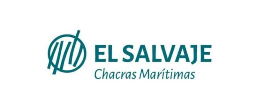 logo el salvaje chacras e1786050516581